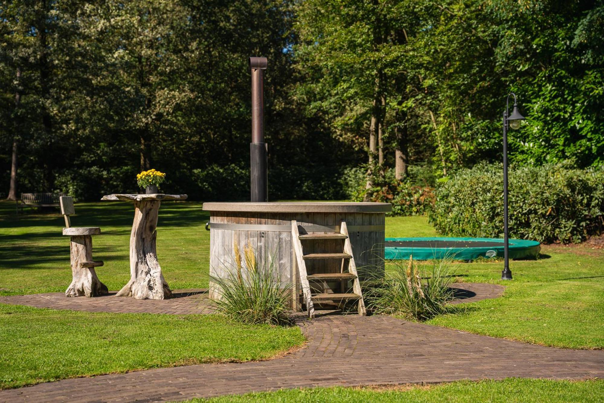 Villa 'T Borghuis à Losser Extérieur photo