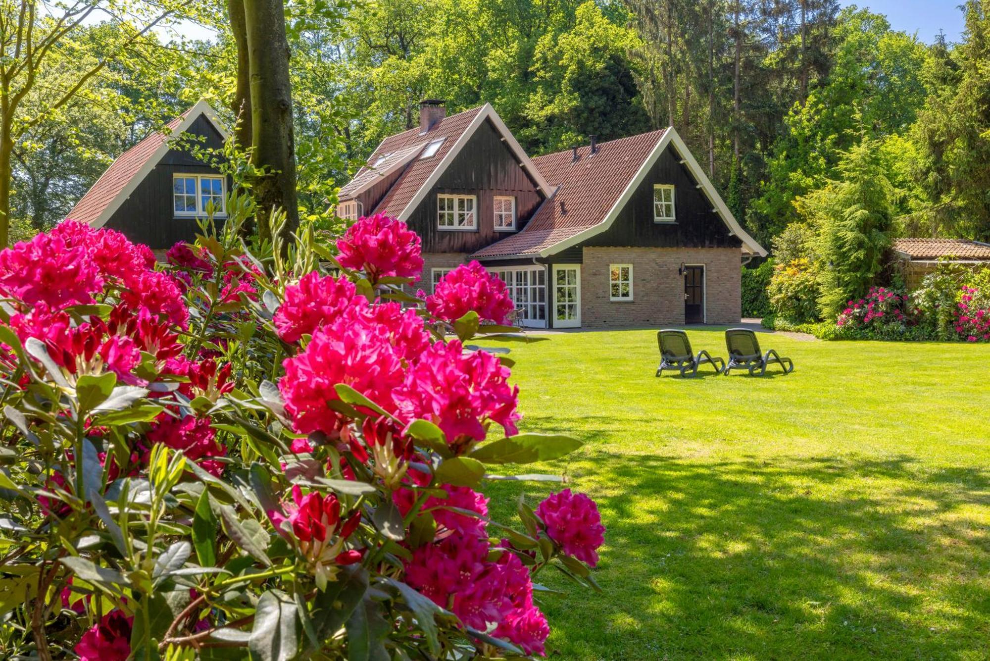 Villa 'T Borghuis à Losser Extérieur photo